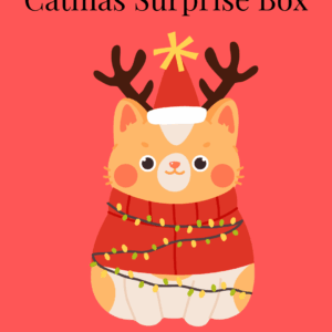 Meowy Catmas Surprise Box 2025