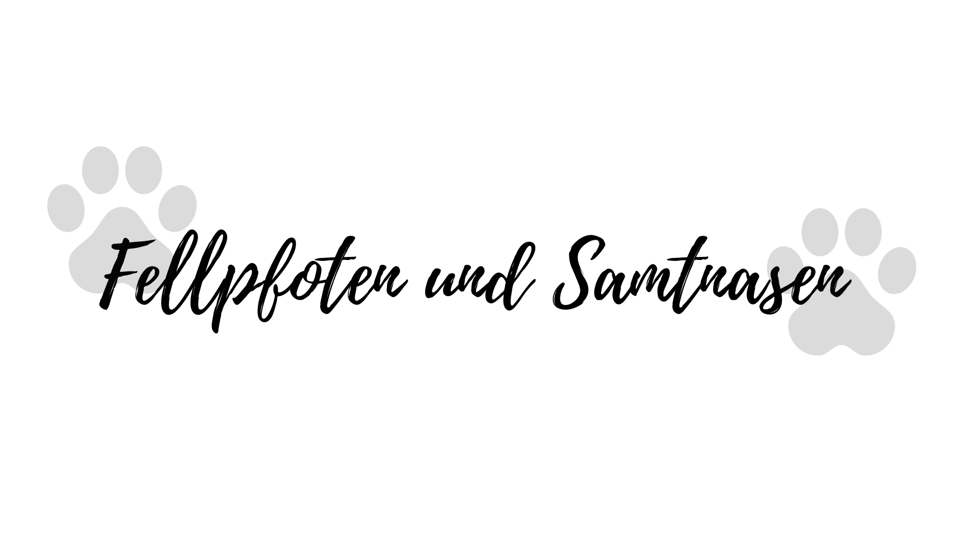 fellpfotenundsamtnasen.de